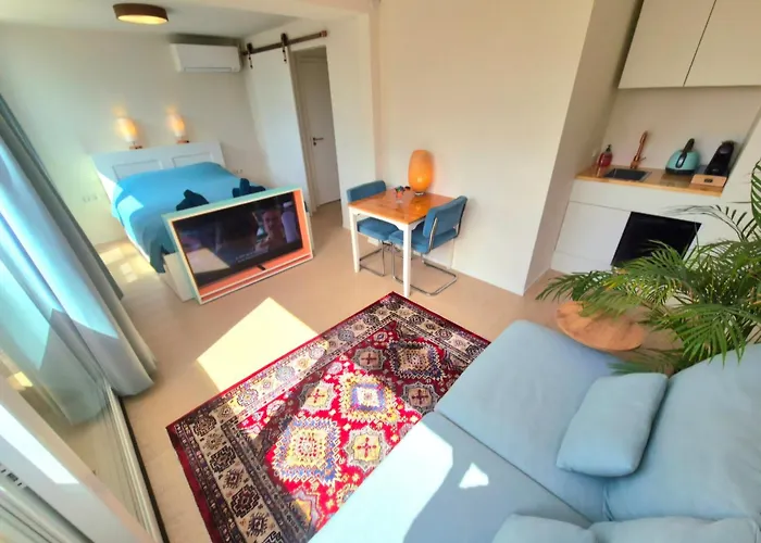 Bed & Breakfast Welkom Op Texel Privé Op Het Zuiden 3*